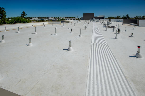 Best Roof Coating and Sealing  in Rocky River, OH